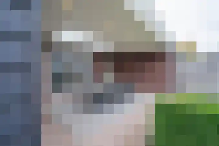 Waterlaat 13 Bakel thumbnail 52