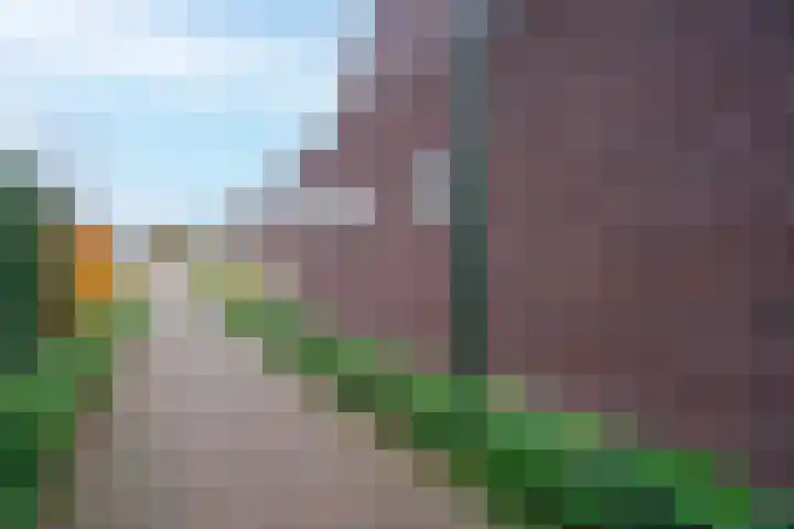 Waterlaat 13 Bakel thumbnail 56