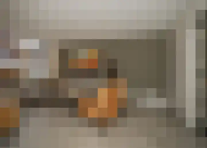 Waterlaat 13 Bakel thumbnail 7