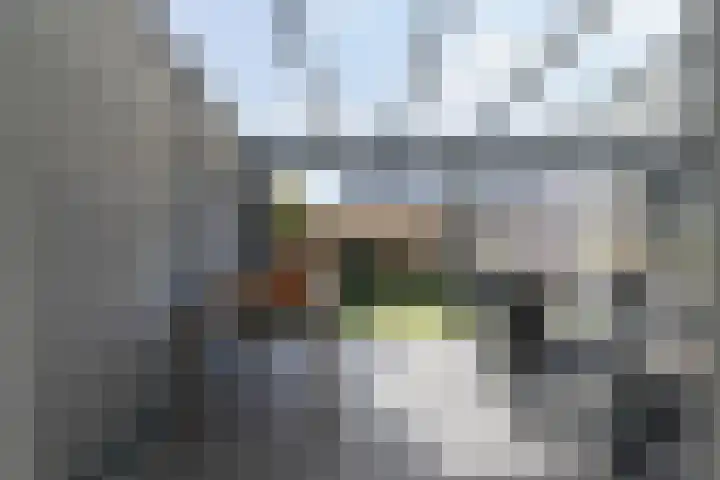 Waterlaat 22 Kaatsheuvel thumbnail 22