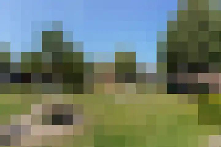 Waterlaat 22 Kaatsheuvel thumbnail 31