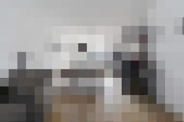 Waterlaat 22 Kaatsheuvel thumbnail 5