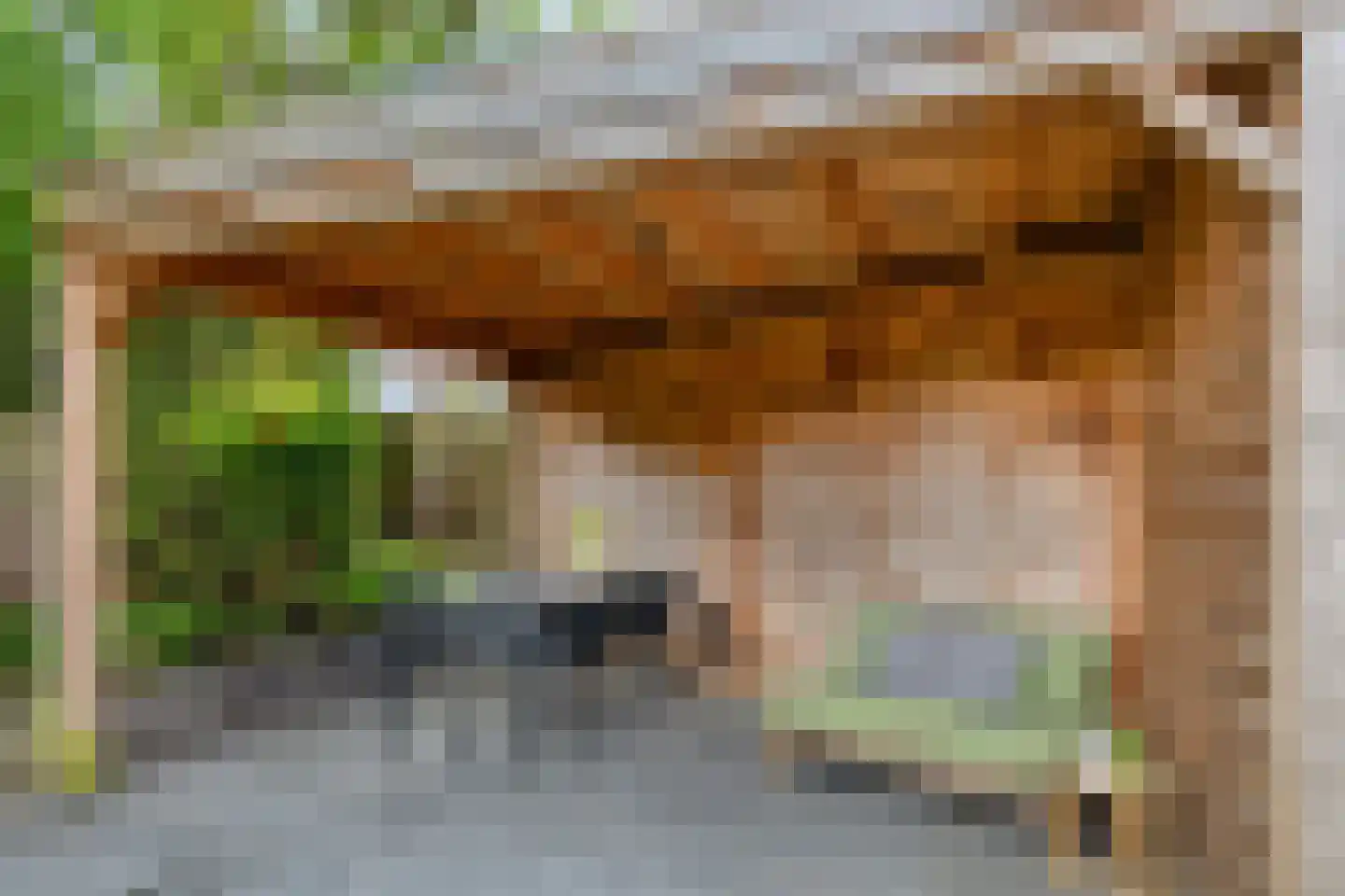 Waterlaat 60 Kaatsheuvel thumbnail 49