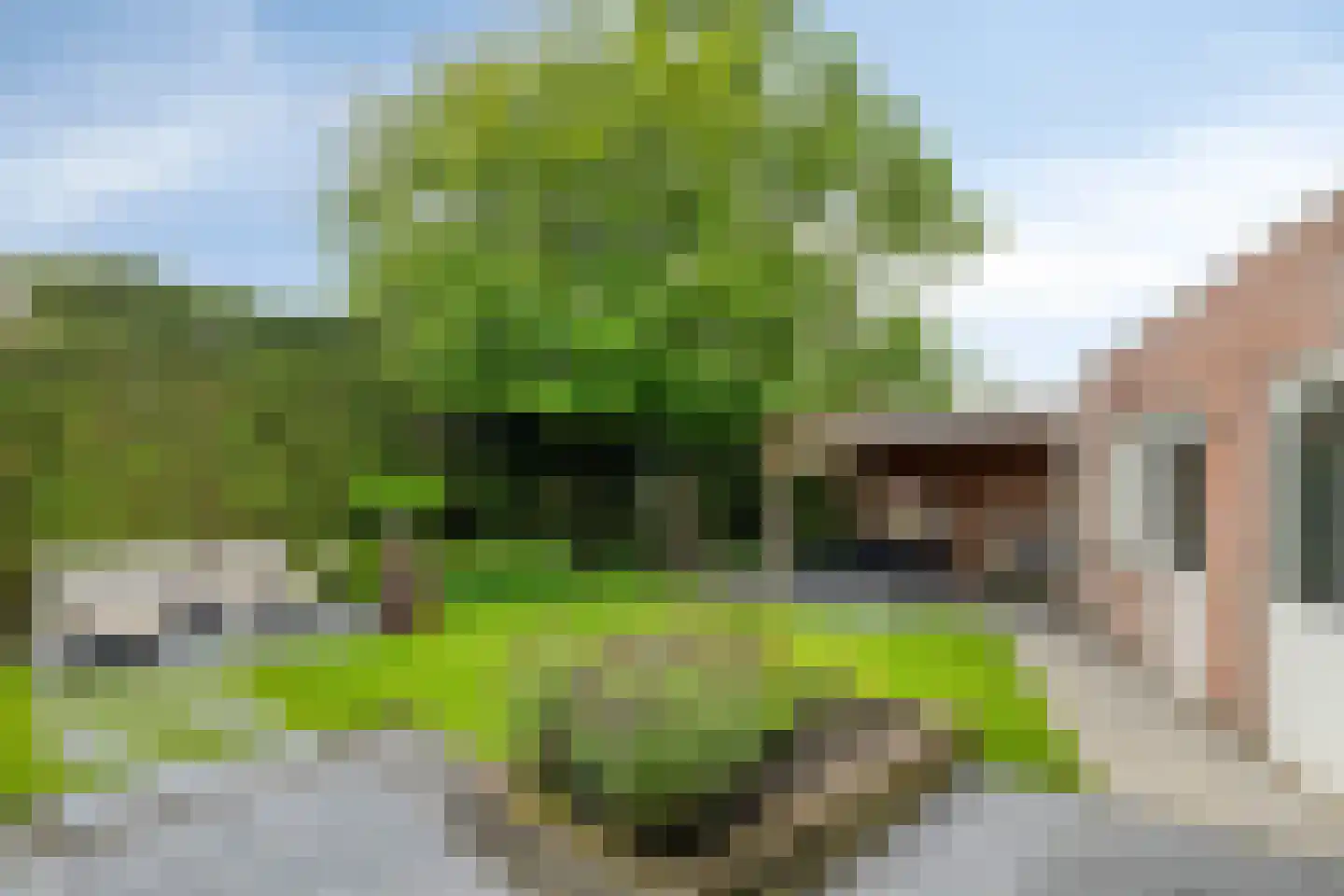 Waterlaat 60 Kaatsheuvel thumbnail 53