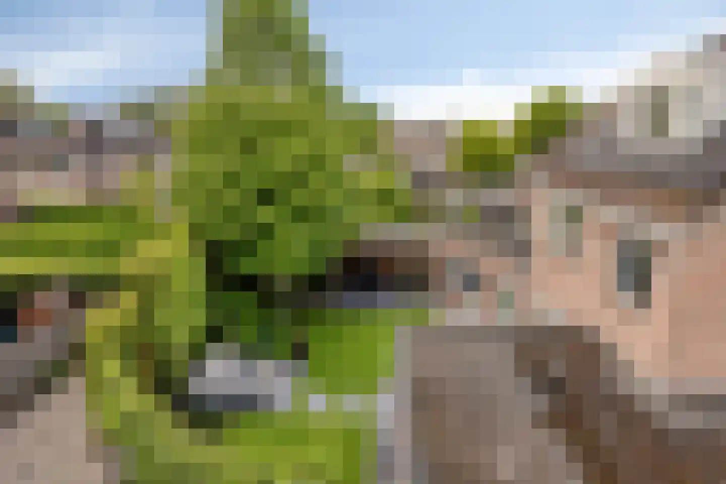 Waterlaat 60 Kaatsheuvel thumbnail 60