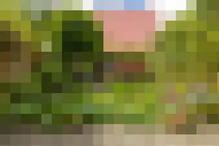 Waterland 1 Groningen thumbnail 42