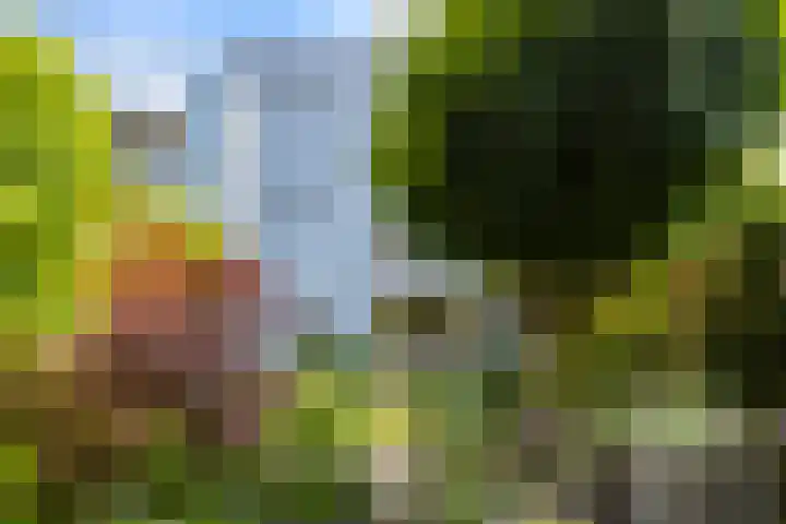 Waterland 1 Groningen thumbnail 5