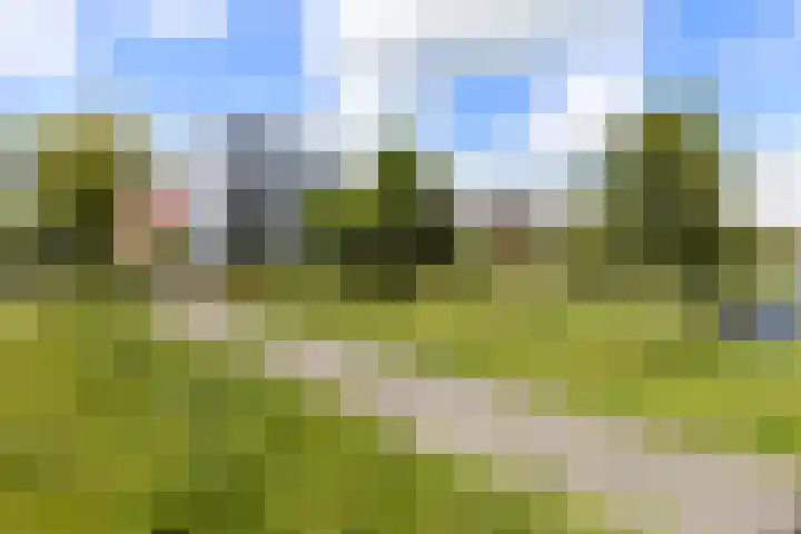 Waterland 1 Groningen thumbnail 8