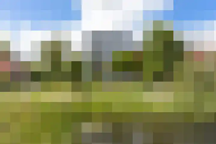 Waterland 1 Groningen thumbnail 9