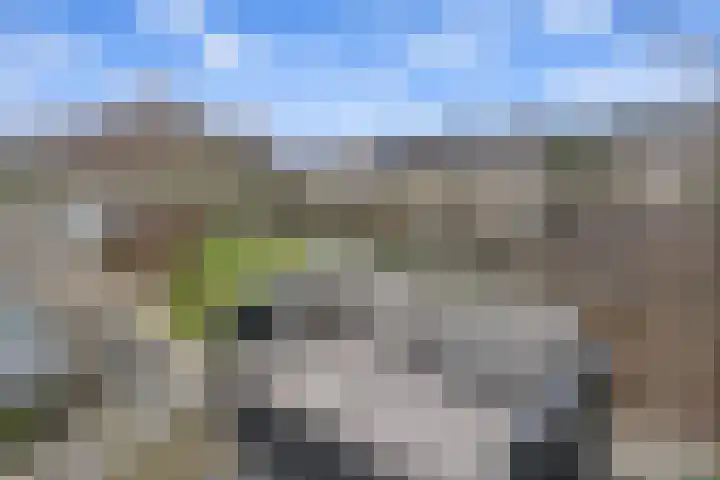 Waterland 1 Ridderkerk thumbnail 17