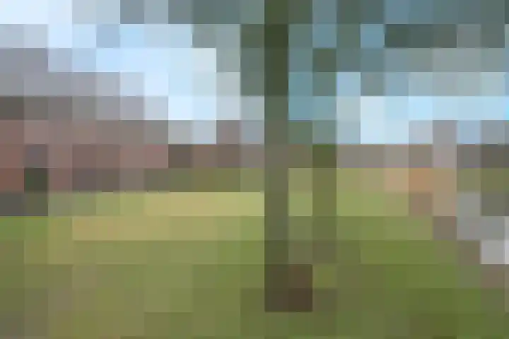 Waterland 1 Ridderkerk thumbnail 28
