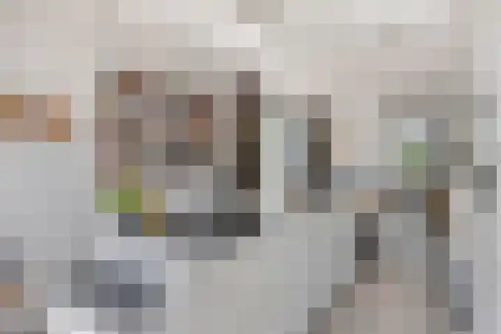 Waterland 100 Eindhoven thumbnail 16