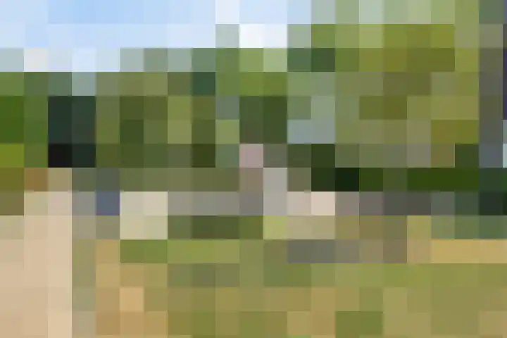 Waterland 100 Eindhoven thumbnail 47