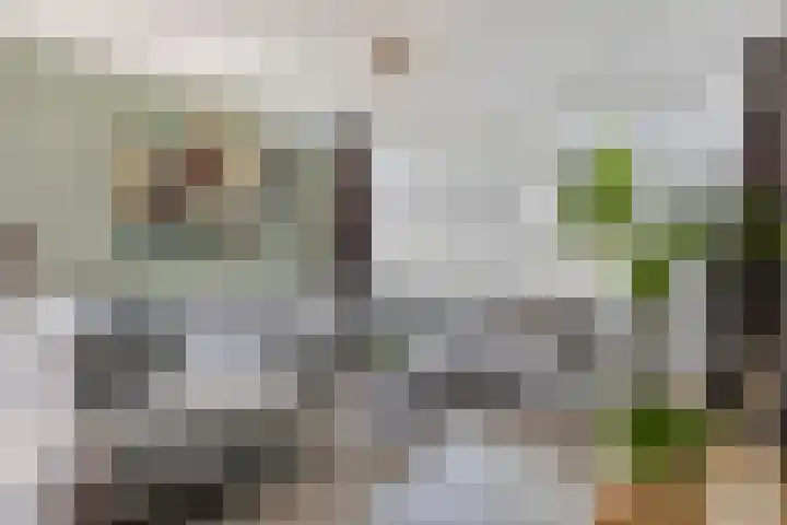 Waterland 100 Eindhoven thumbnail 8