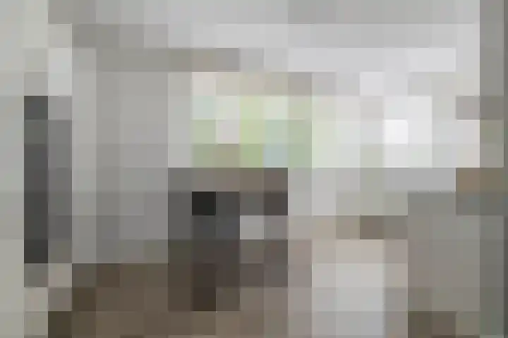 Waterland 128 Eindhoven thumbnail 10