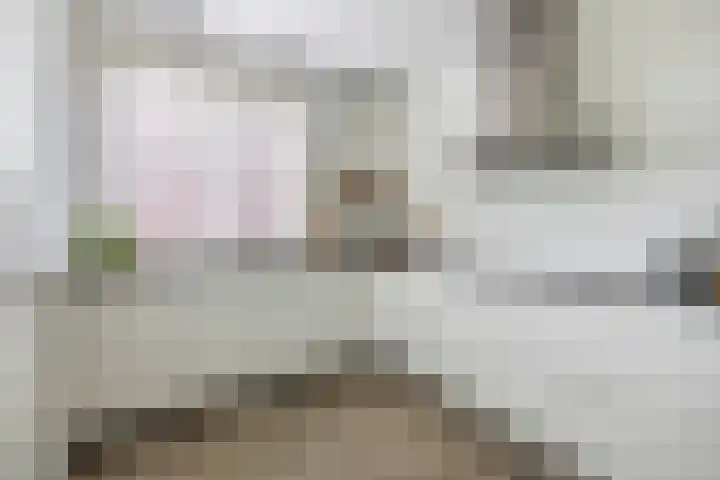 Waterland 128 Eindhoven thumbnail 11