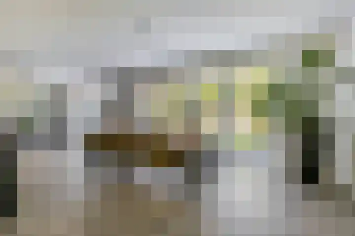 Waterland 128 Eindhoven thumbnail 15