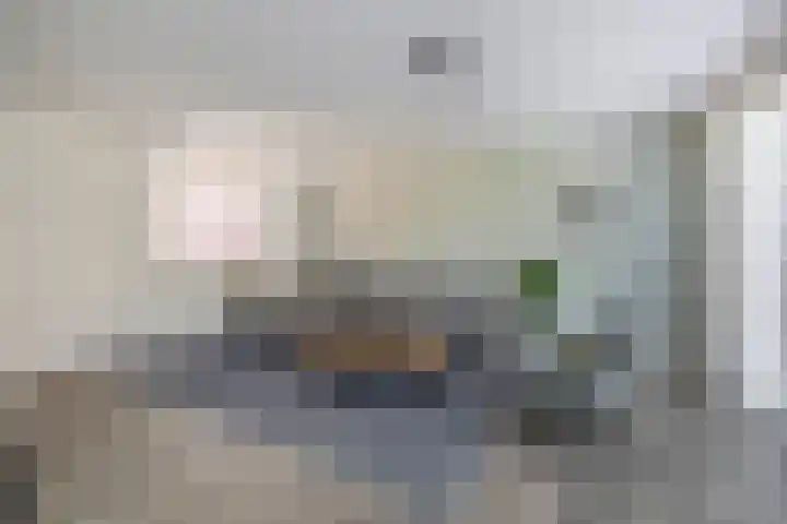 Waterland 128 Eindhoven thumbnail 17