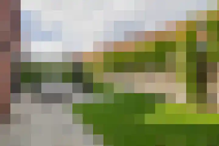 Waterland 128 Eindhoven thumbnail 28