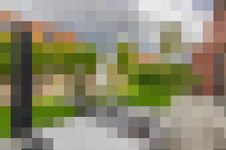 Waterland 128 Eindhoven thumbnail 29