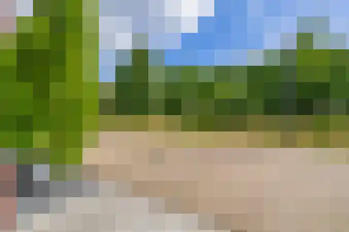 Waterland 128 Eindhoven thumbnail 34