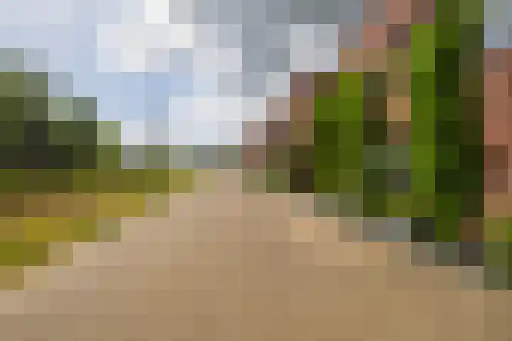 Waterland 128 Eindhoven thumbnail 35
