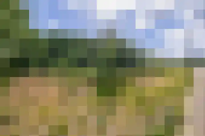 Waterland 128 Eindhoven thumbnail 36