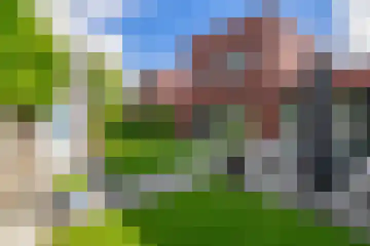 Waterland 128 Eindhoven thumbnail 4