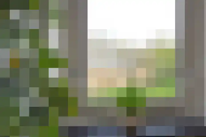 Waterland 164 Groningen thumbnail 14