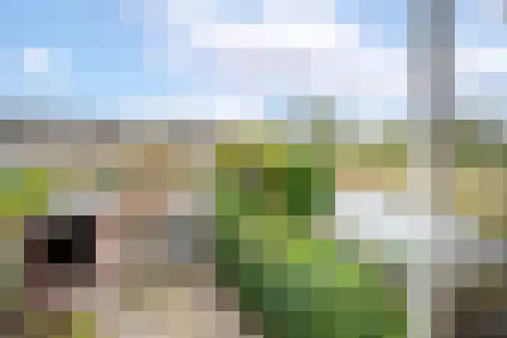 Waterland 164 Groningen thumbnail 28