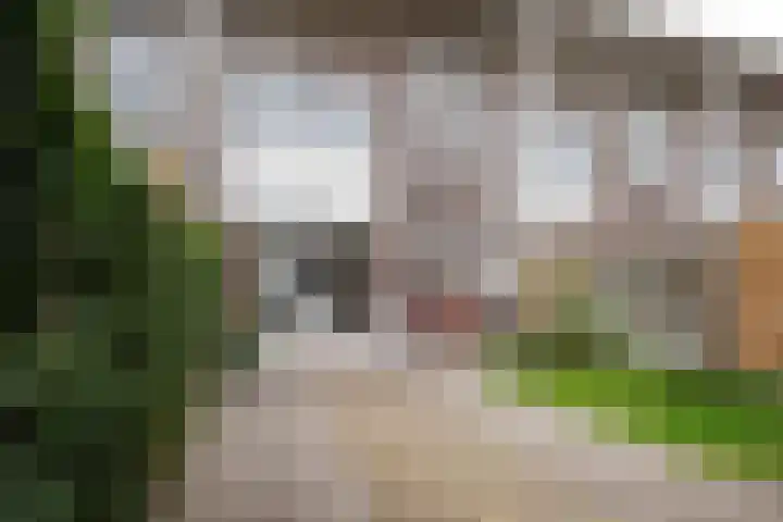 Waterland 164 Groningen thumbnail 37