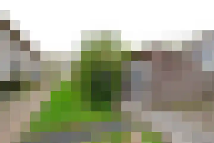 Waterland 164 Groningen thumbnail 51