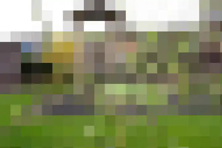 Waterland 164 Groningen thumbnail 52