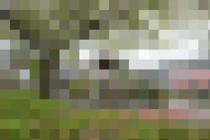 Waterland 164 Groningen thumbnail 53