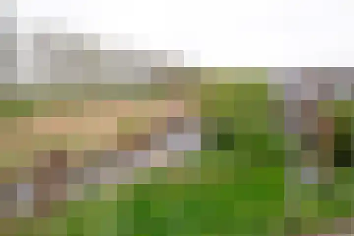 Waterland 164 Groningen thumbnail 54