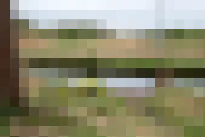 Waterland 164 Groningen thumbnail 56