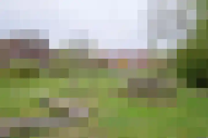 Waterland 164 Groningen thumbnail 57