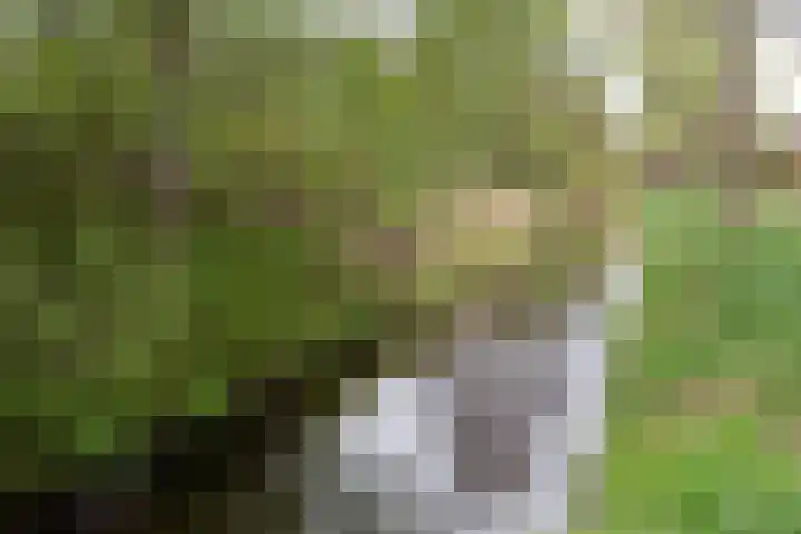 Waterland 164 Groningen thumbnail 58