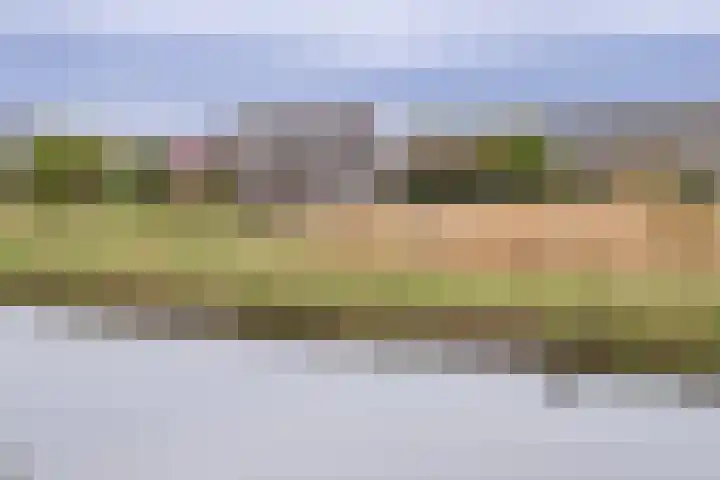 Waterland 164 Groningen thumbnail 59