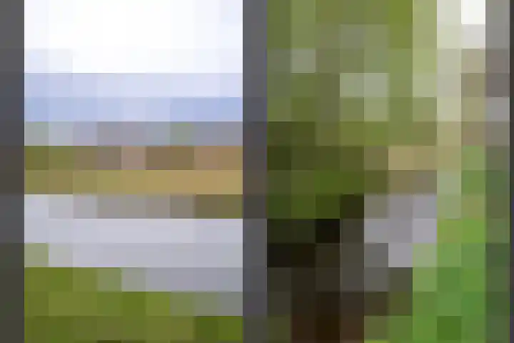 Waterland 164 Groningen thumbnail 60