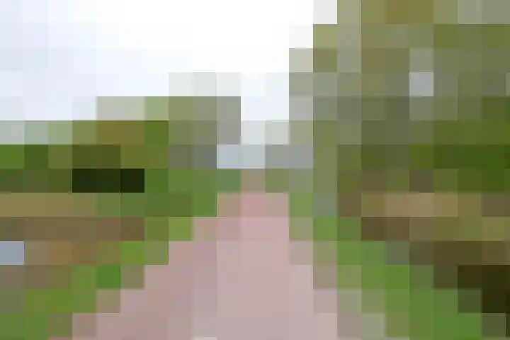 Waterland 164 Groningen thumbnail 62