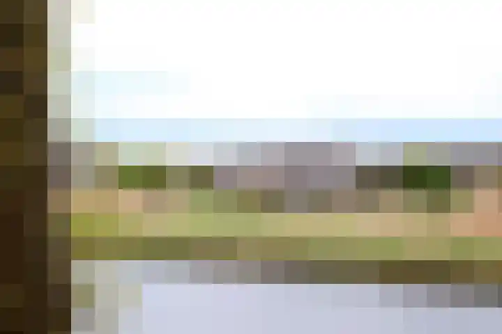 Waterland 164 Groningen thumbnail 63