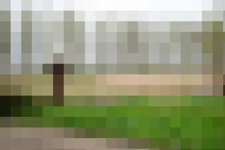 Waterland 164 Groningen thumbnail 67