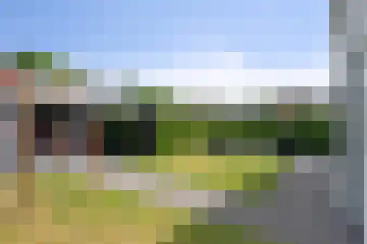 Waterland 176 Eindhoven thumbnail 34