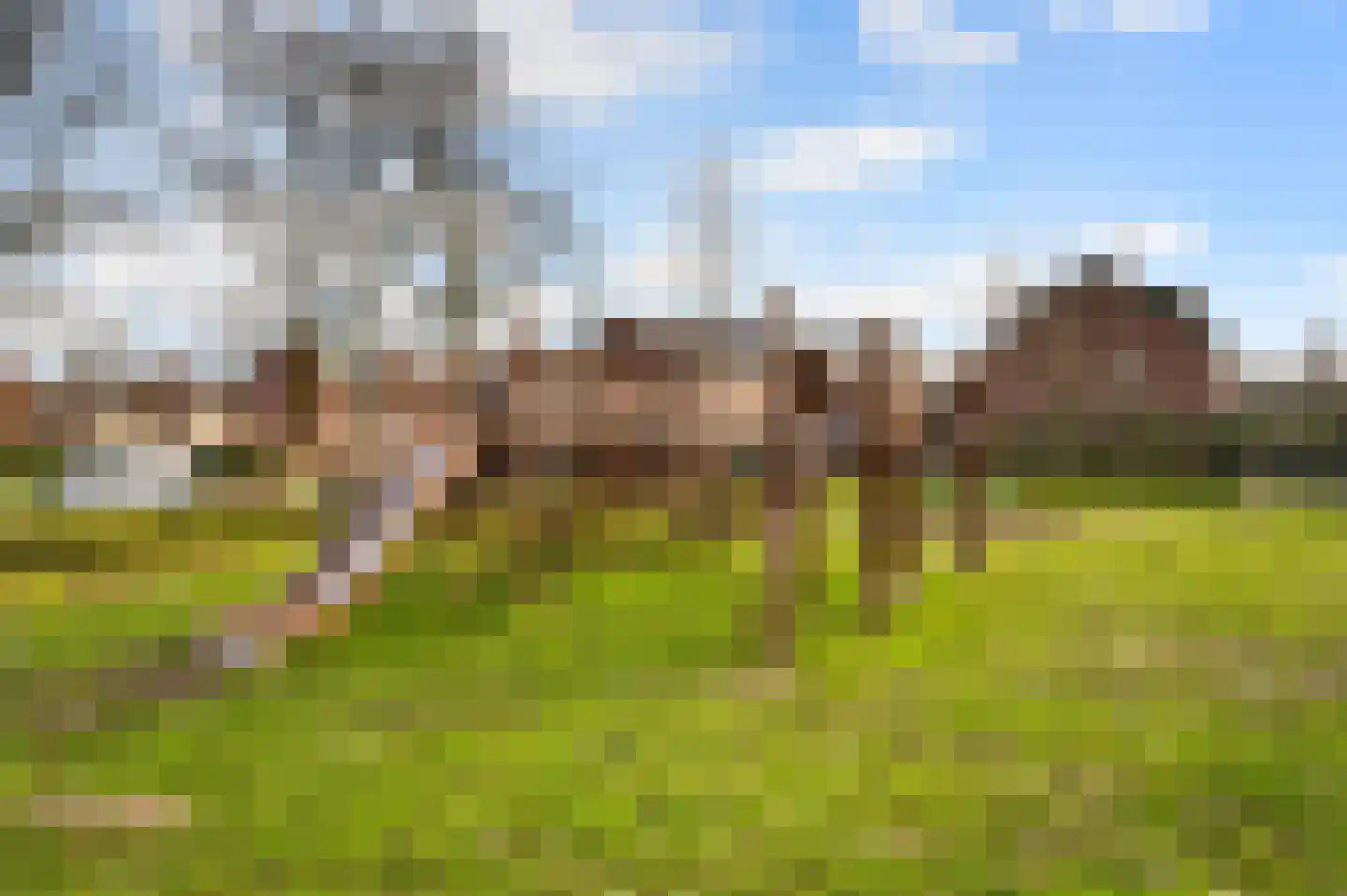 Waterland 22 Ridderkerk thumbnail 4