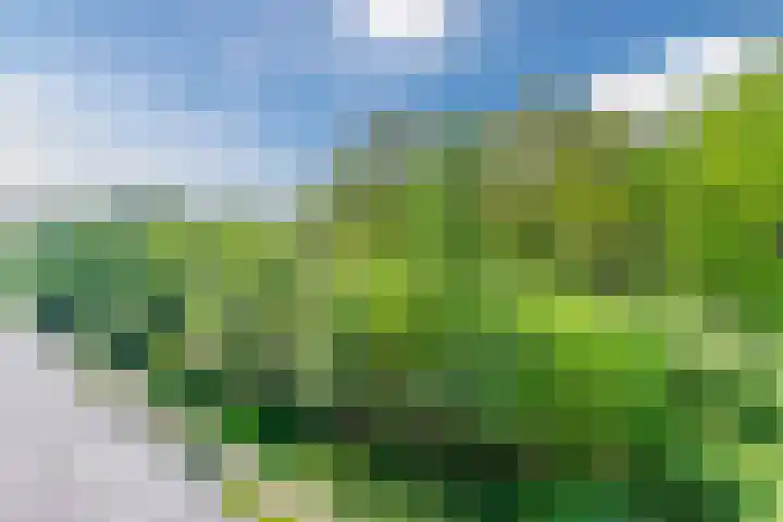 Waterland 26 Eindhoven thumbnail 61