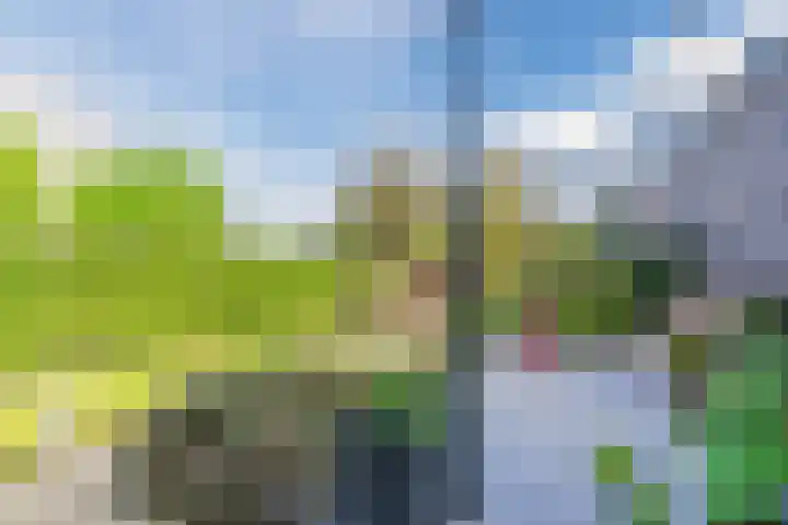 Waterland 26 Eindhoven thumbnail 64