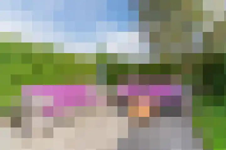 Waterland 26 Eindhoven thumbnail 66
