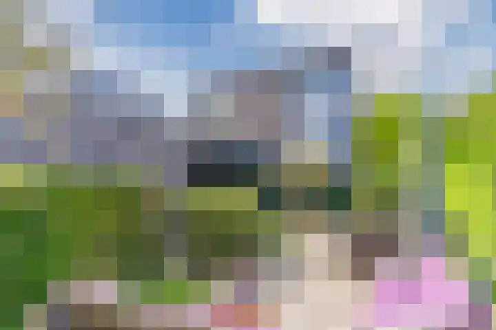 Waterland 26 Eindhoven thumbnail 67