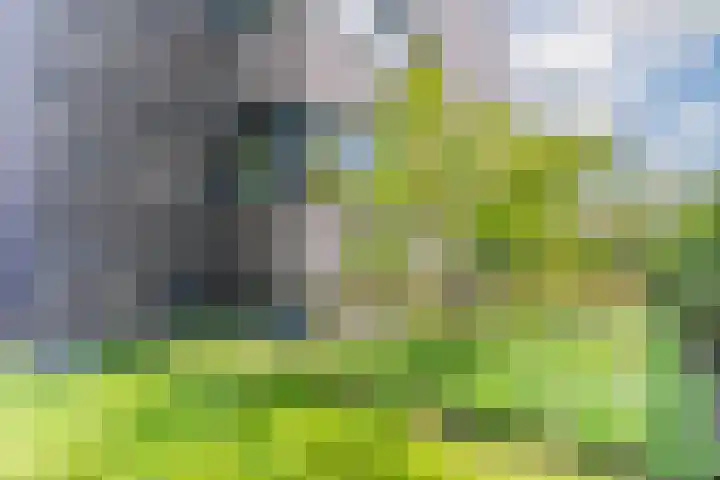 Waterland 26 Eindhoven thumbnail 71